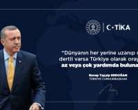 Turkey: origin, evolution and role of TIKA, a fundamental instrument of Ankara’s foreign policy